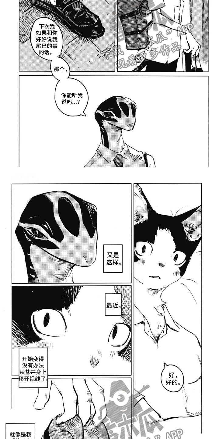 蓝猫男的好还是女的好漫画,第17章：很在意2图