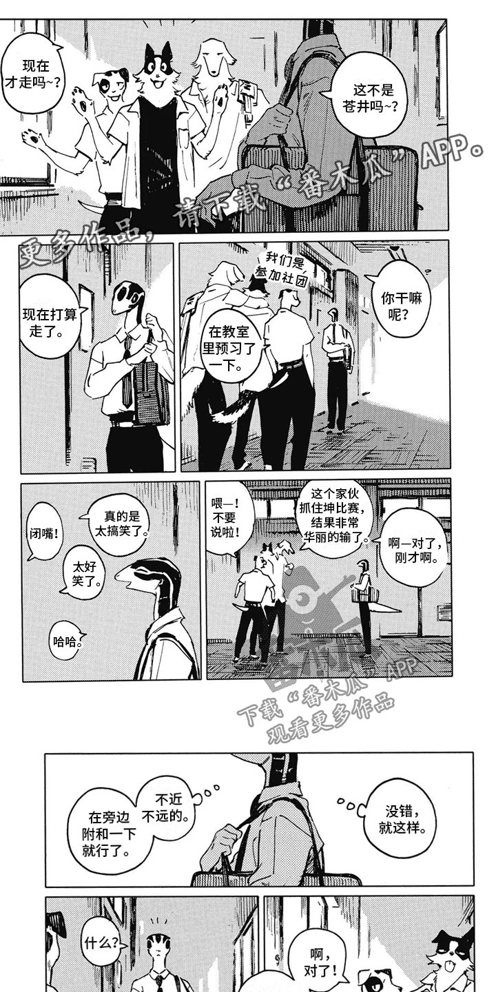 蓝猫太可爱了漫画,第14章：好奇1图