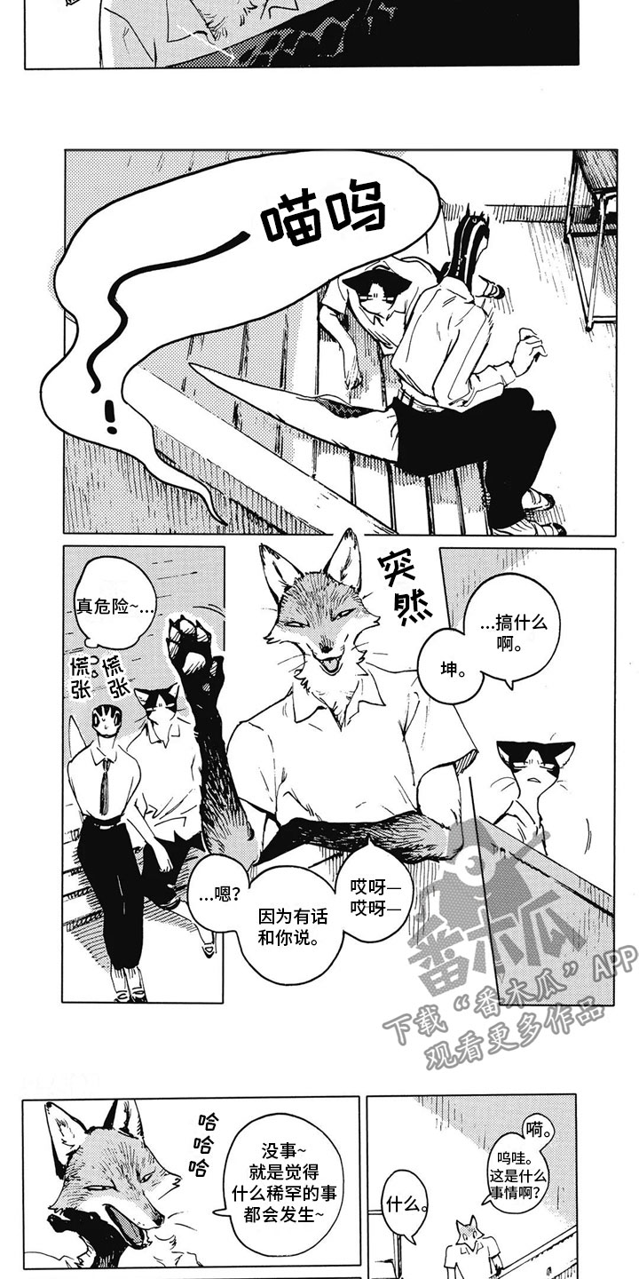 蓝猫男猫咪高贵洋气的名字漫画,第11章：拒绝1图