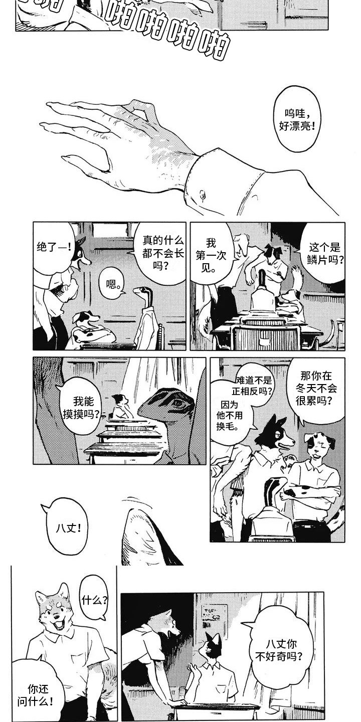 蓝猫男头像漫画,第1章：转学生1图