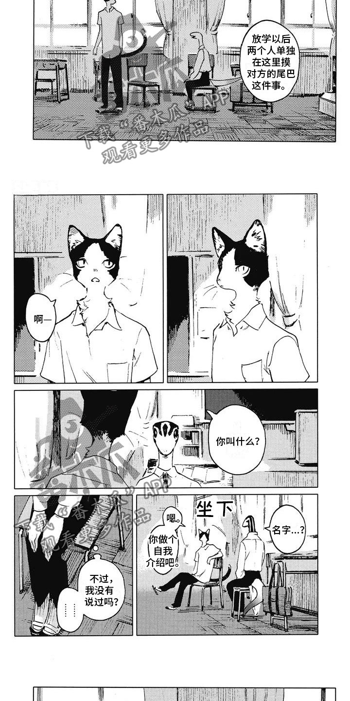 单调男生发色漫画,第6章：交换名字2图