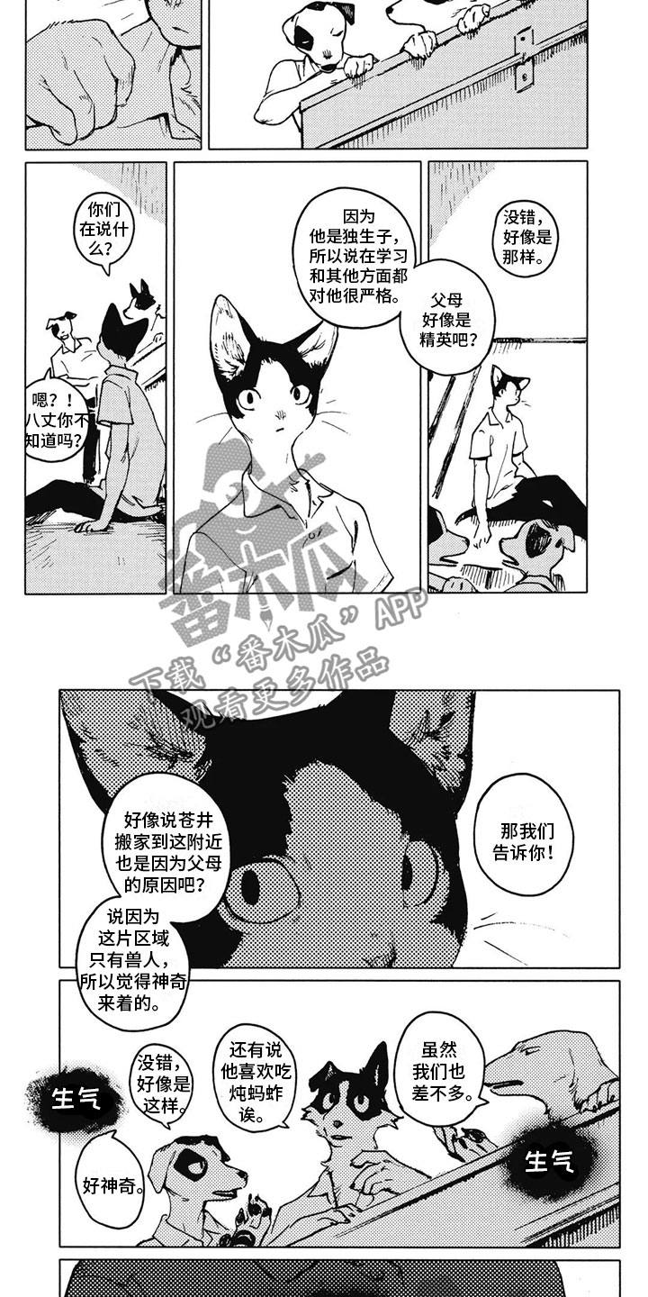 蓝猫男猫咪高贵洋气的名字漫画,第19章：生气2图