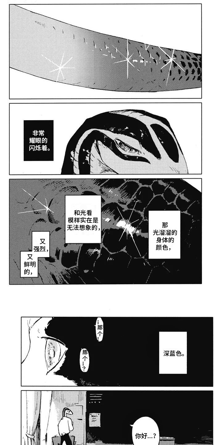 单调蓝猫男封面漫画,第3章：饶有兴趣1图