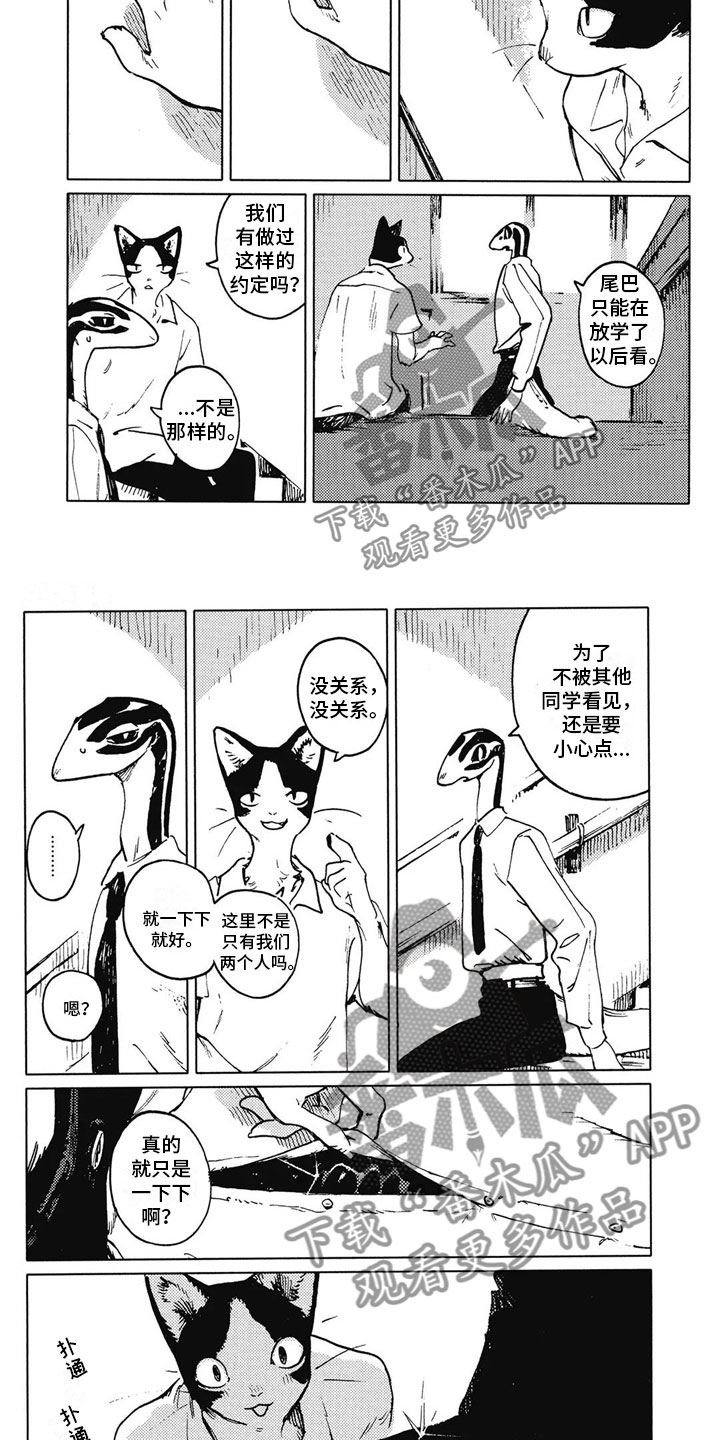 单调蓝猫男pema漫画,第11章：拒绝2图