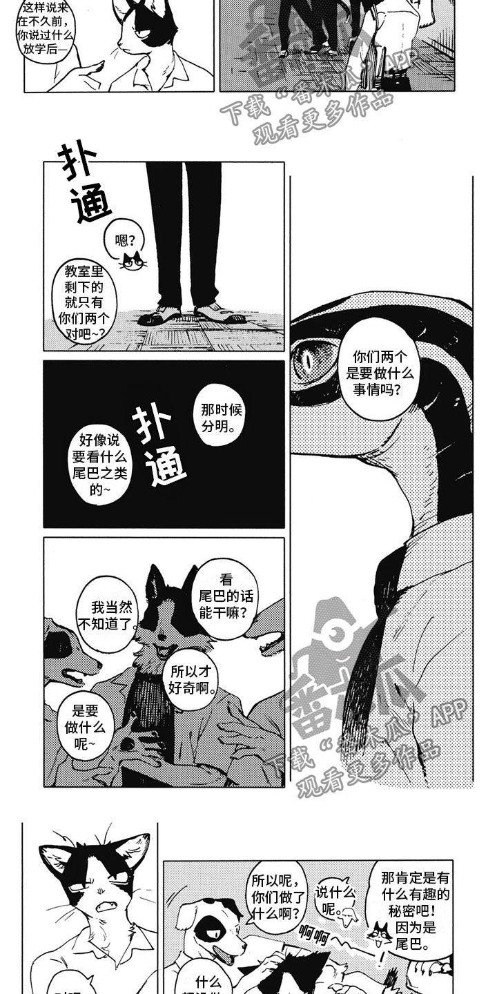 帅气蓝猫漫画,第14章：好奇1图