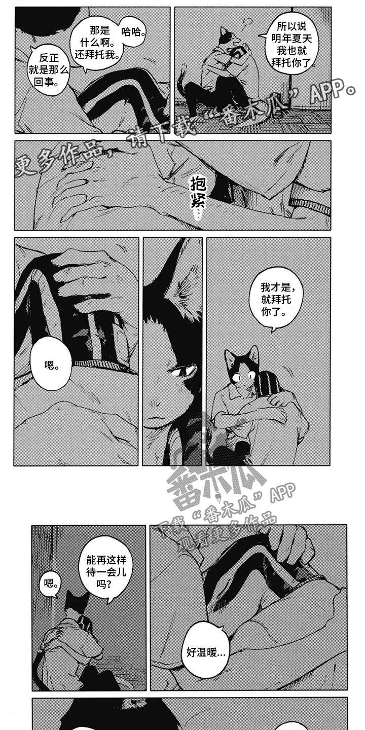 单调蓝猫男漫画漫画,第33章：温暖（完结）1图