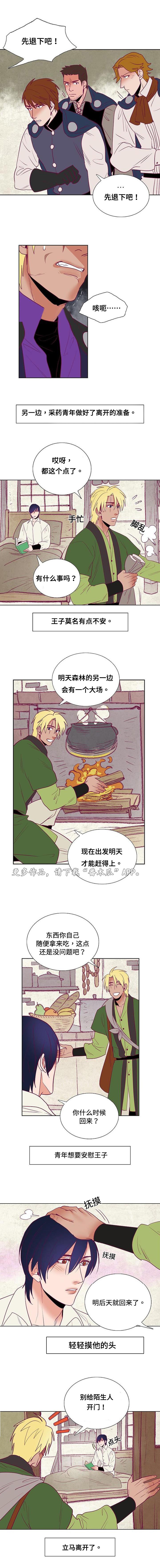 千古传情和驼铃传奇哪个好看漫画,第39章：白雪的消息1图