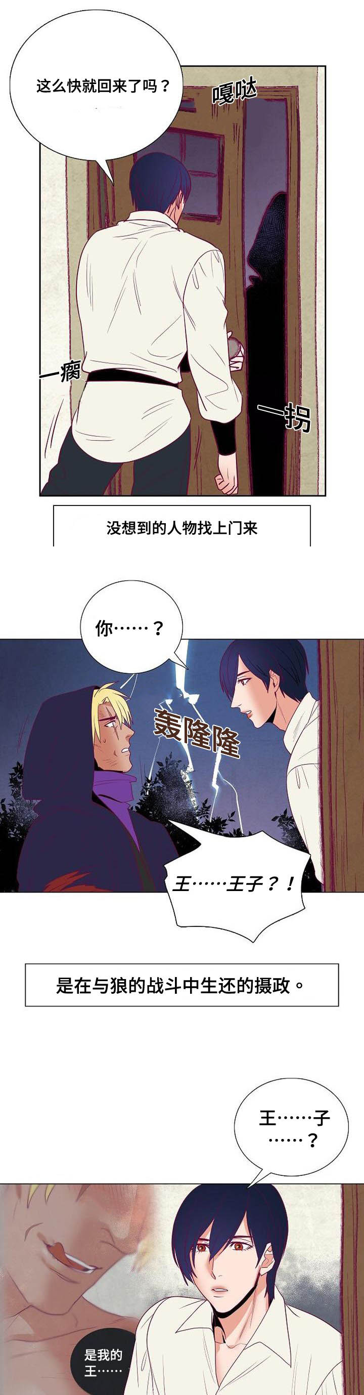 千古传奇老碗面图片漫画,第40章：莱奥纳德2图