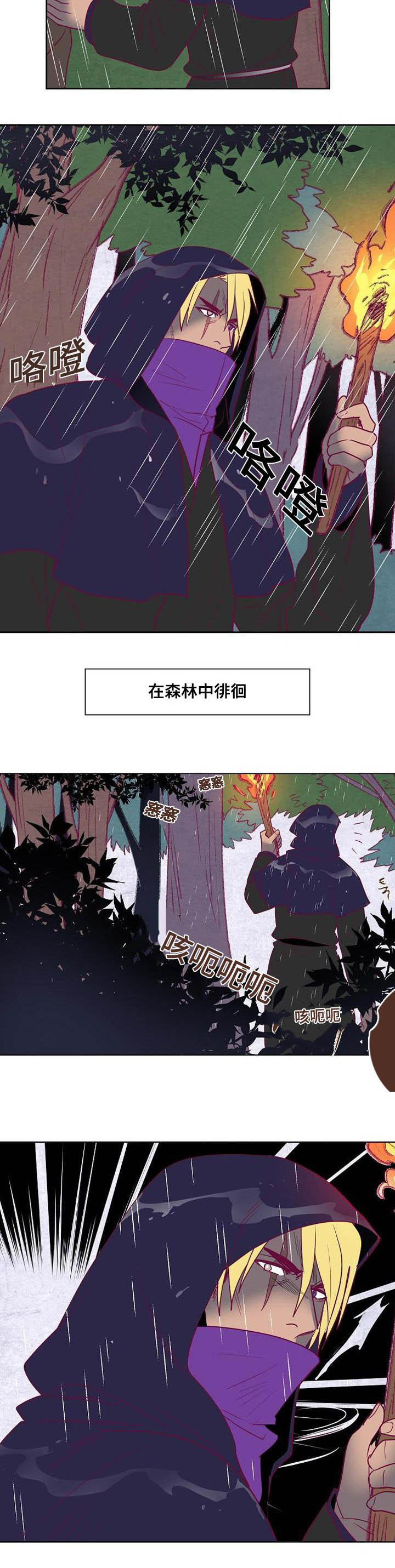 千古传颂留芳菲mp3漫画,第39章：白雪的消息2图