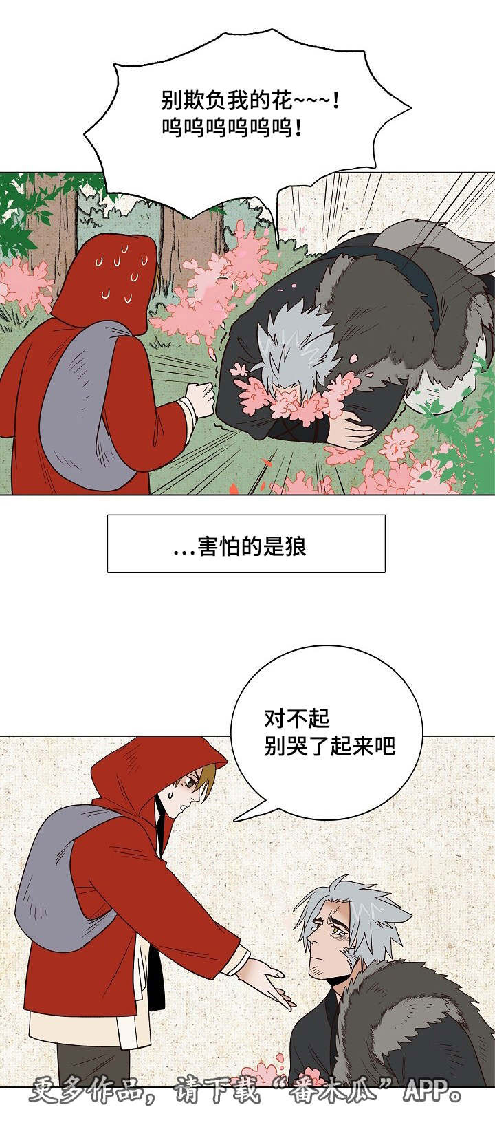 千古传诵经典漫画,第22章：小红帽与狼2图