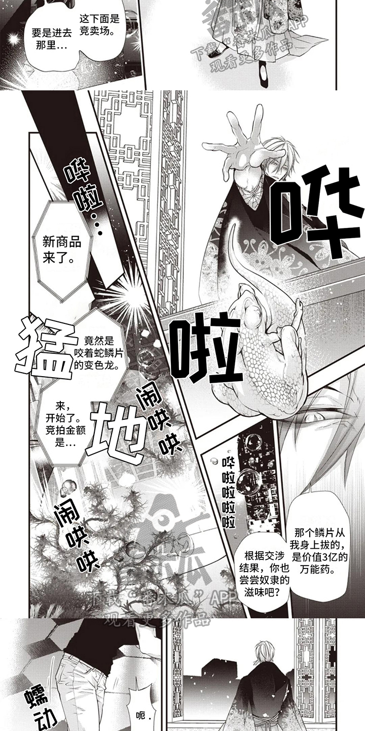 异界召唤怪兽漫画,第6章：救人2图