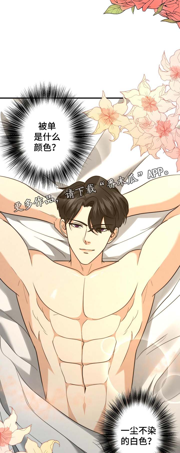 秘密配对漫画,第47章：温柔的询问1图
