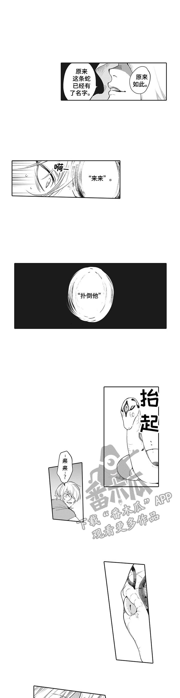 撒哈拉之眼在地图的哪里漫画,第17章：咒术1图