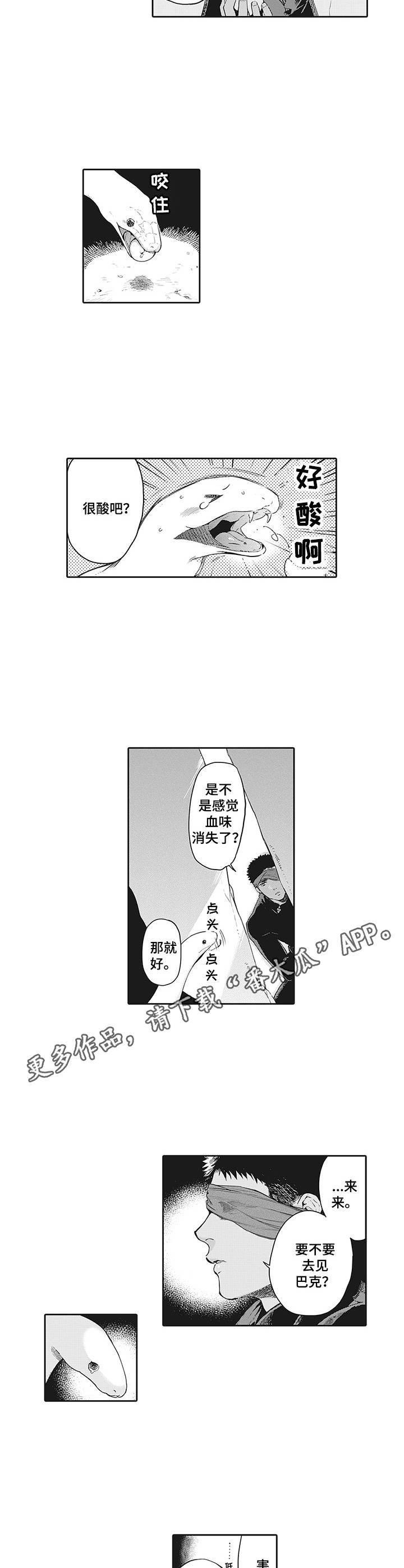 撒哈拉之狼漫画,第19章：说服2图