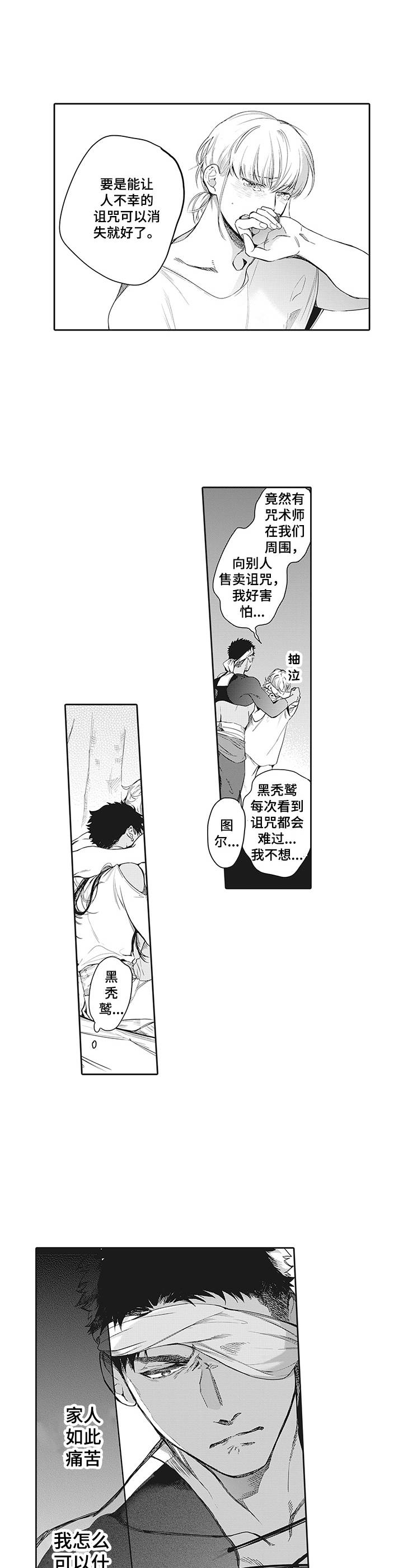 撒哈拉之眼俯瞰图漫画,第10章：咒术师2图