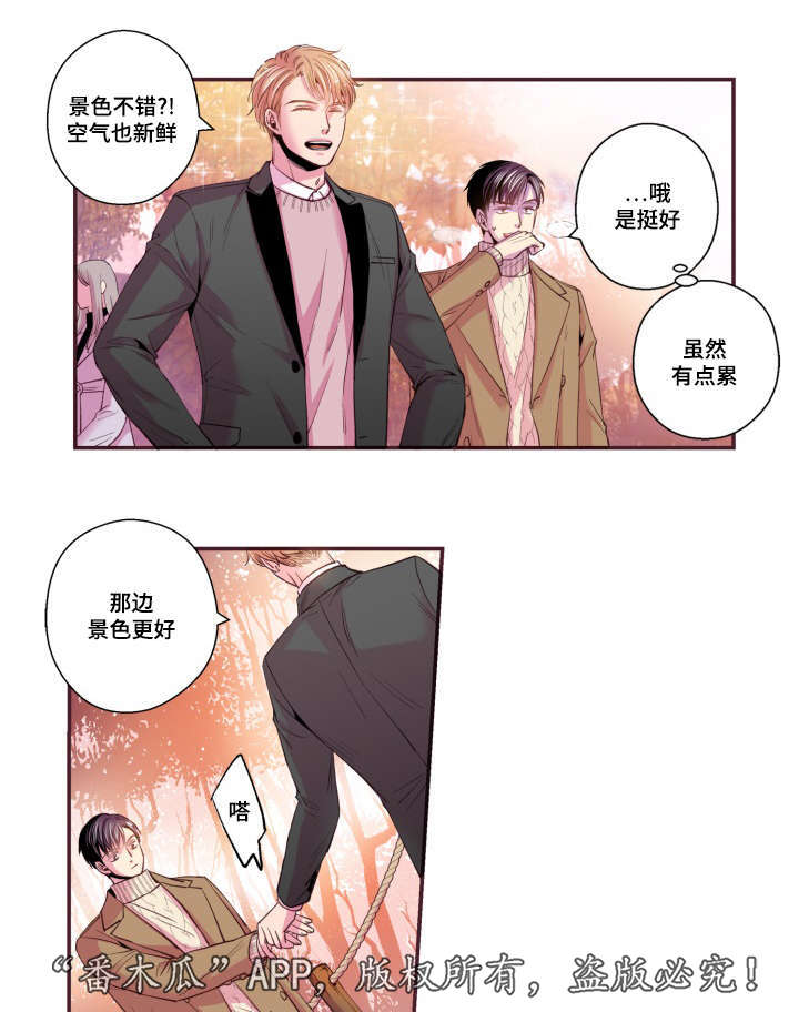 闻声识鸟的app漫画,第48章：没有动静2图