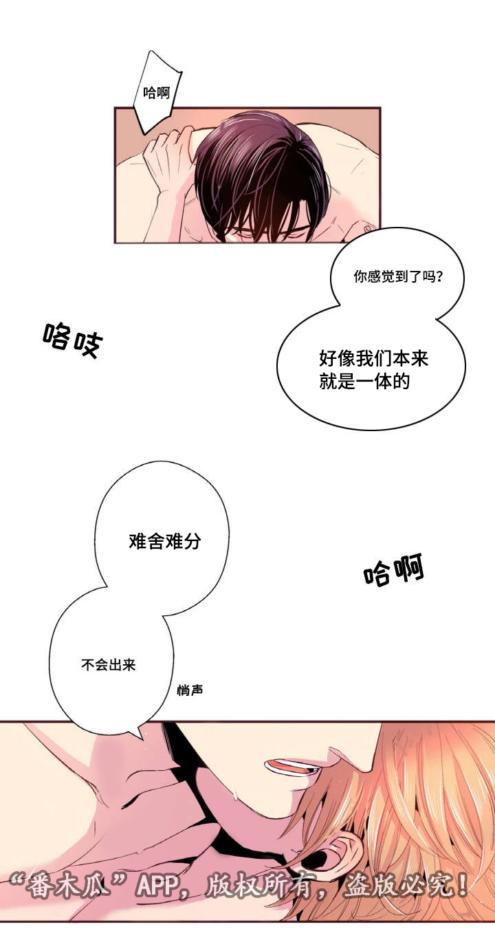 闻声而起打一生肖漫画,第33章：这次会更好的2图