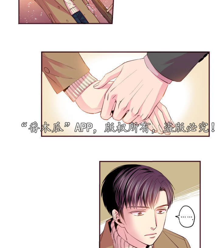 闻声识鸟的app漫画,第48章：没有动静1图