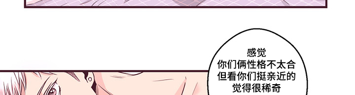 闻笙宋晋小说完整版漫画,第13章：遇见1图