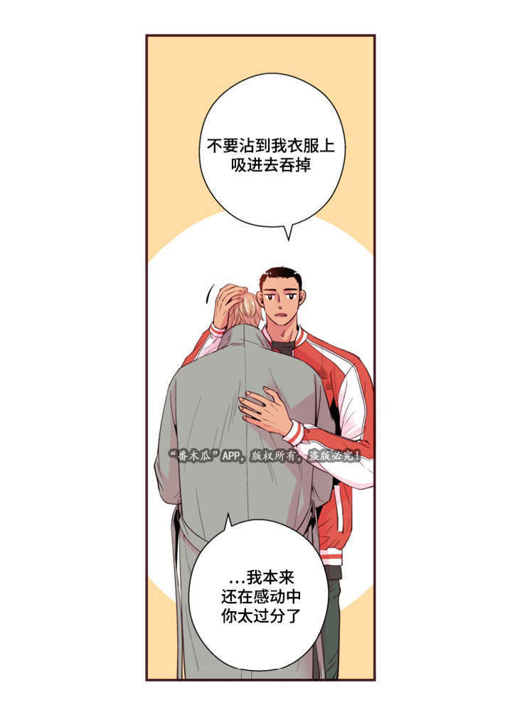 闻声识鸟的app漫画,第26章：玩笑2图