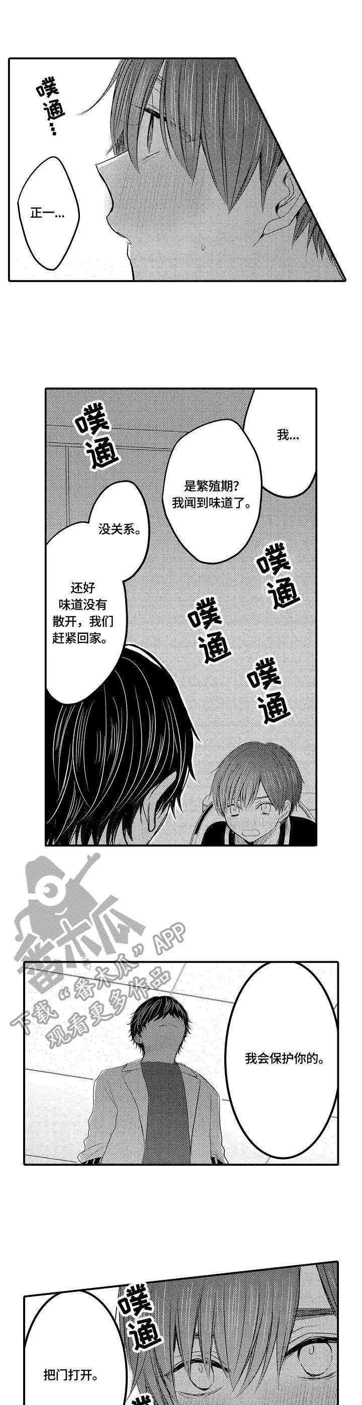 伪造报告漫画,第11章：预谋2图