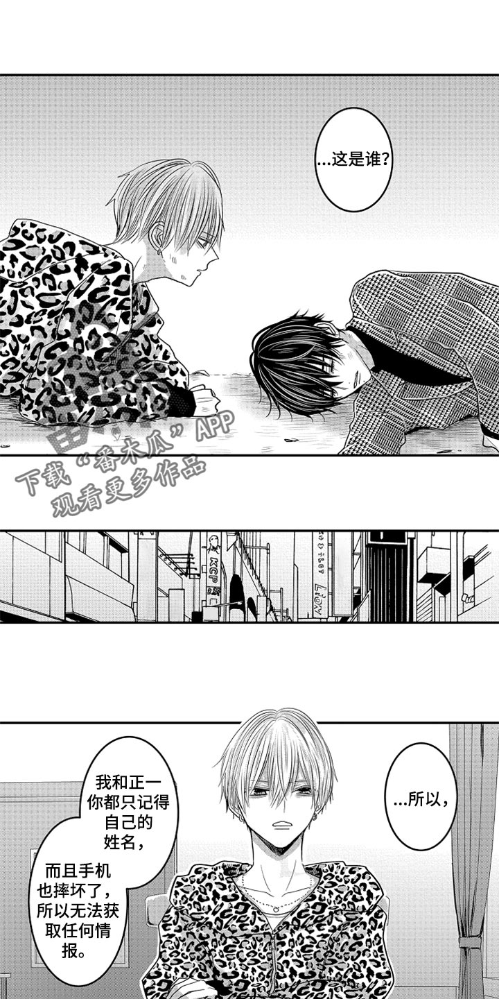 伪造报告无减心跳信息素漫画,第79章：【第二季】失忆2图