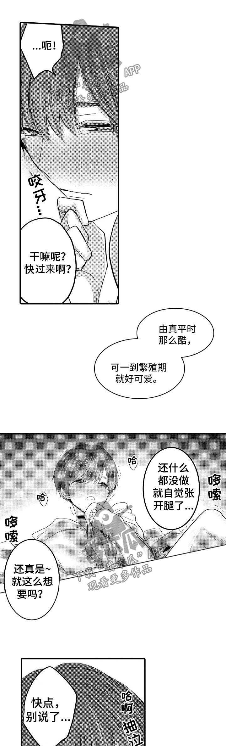 伪造报销单漫画,第49章：【第二季】我的妻子们2图