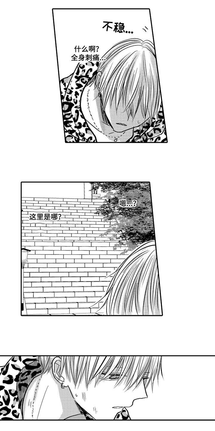 伪造报告无减心跳信息素漫画,第79章：【第二季】失忆1图