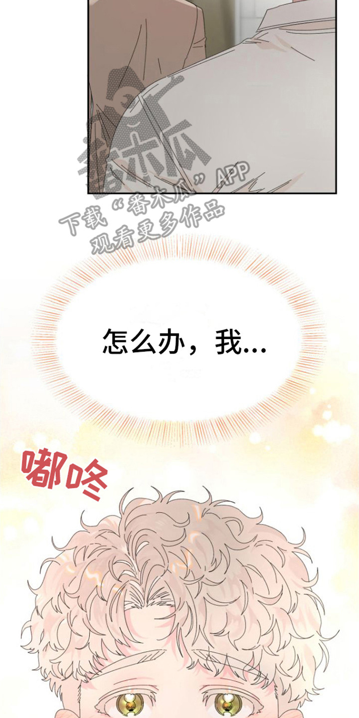 爱是心之所向mh漫画,第17章：约会2图