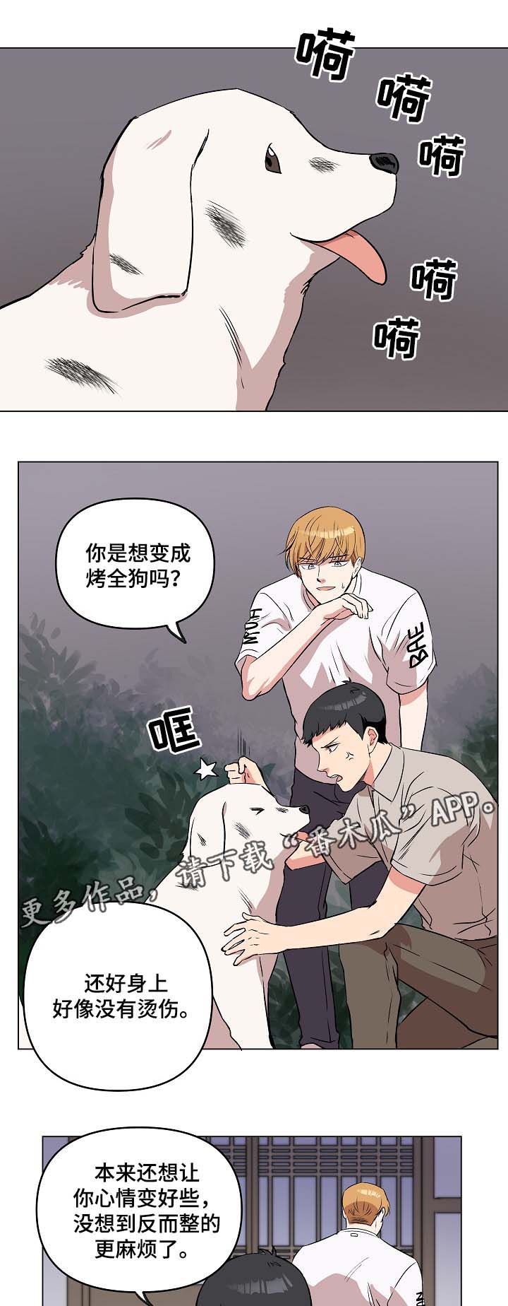 房主归来动漫推荐漫画,第44章：放烟花2图