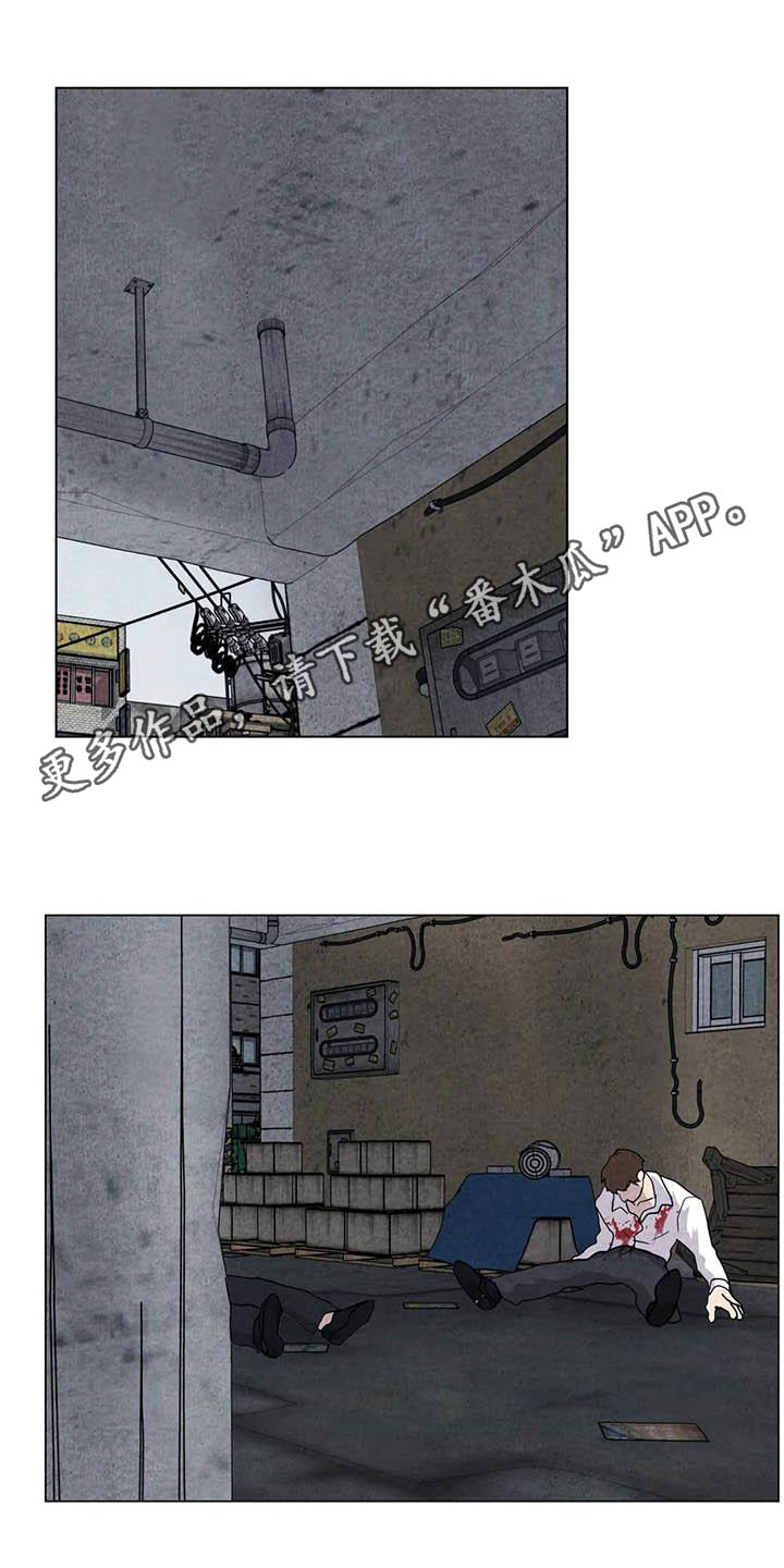 兔子断尾求生漫画,第32章：打架1图