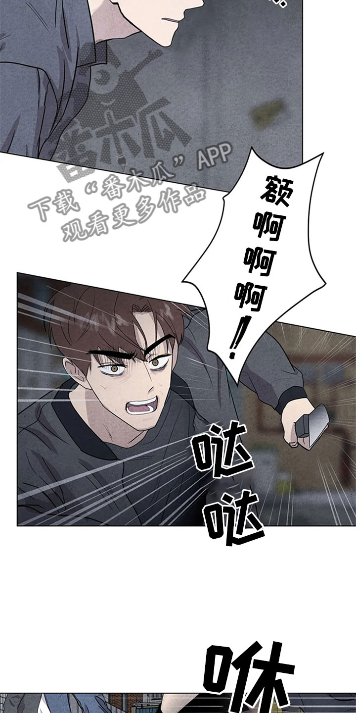 断尾求生壁虎漫画,第13章：混战2图