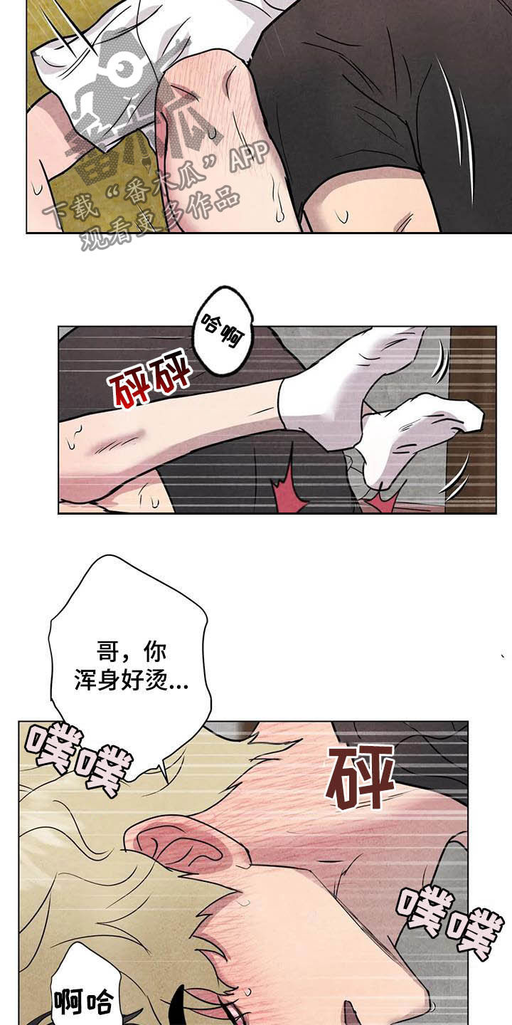 兔子断尾求生漫画,第24章：始料未及1图