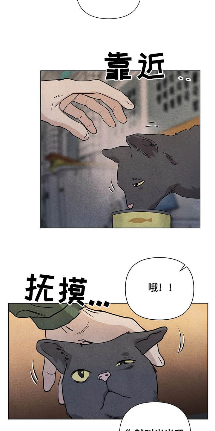 断尾求生方法视频漫画,第17章：取名2图