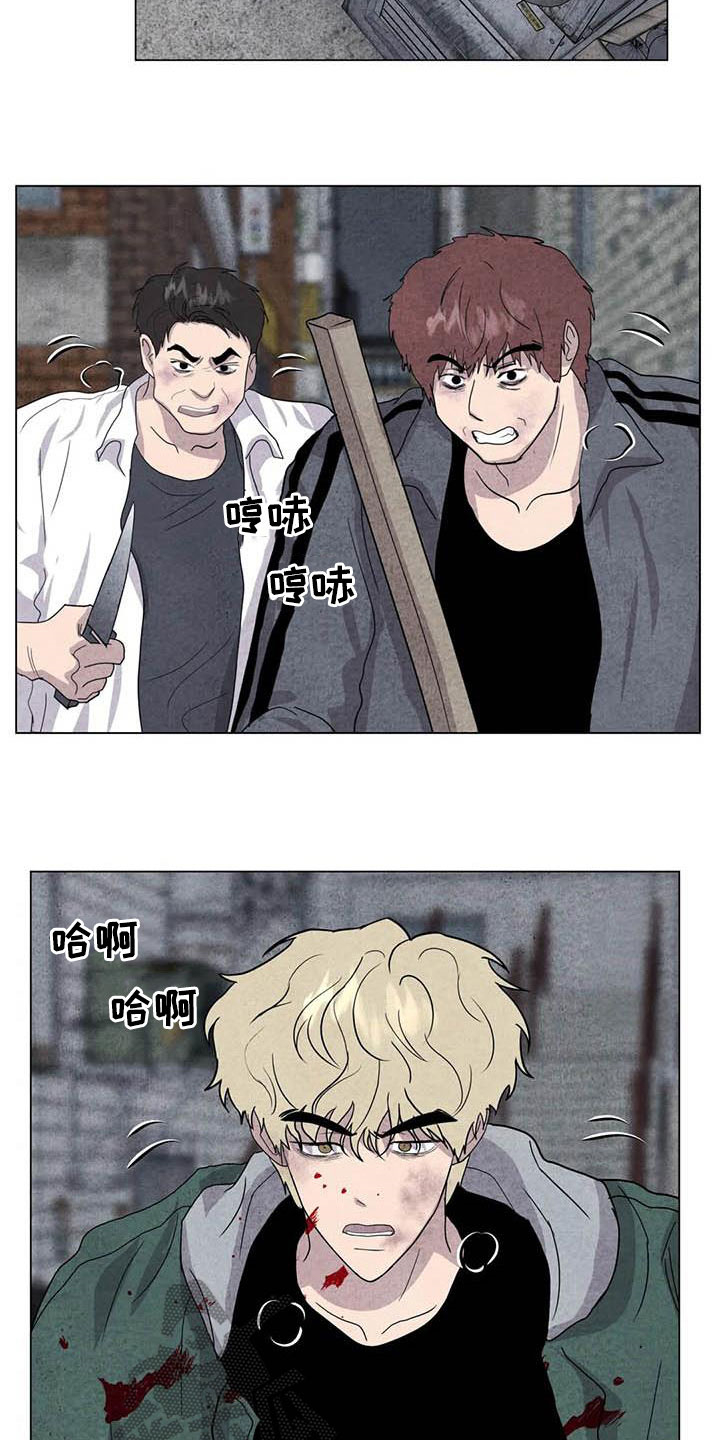 断尾求生比喻什么漫画,第32章：打架2图