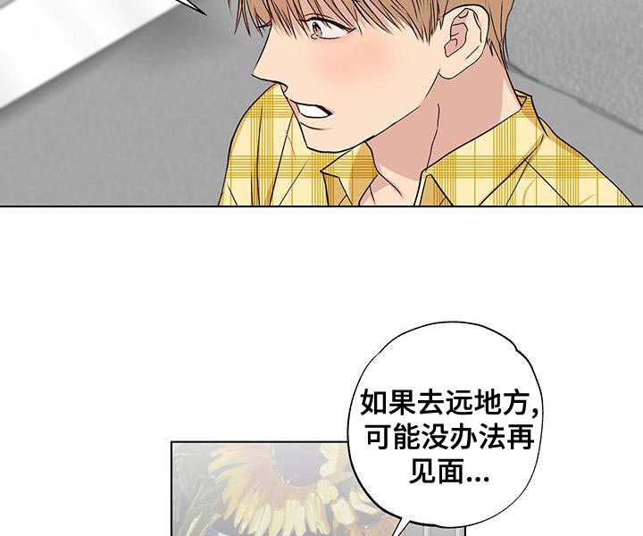 雨中集锦原唱漫画,第50章：我也喜欢你2图