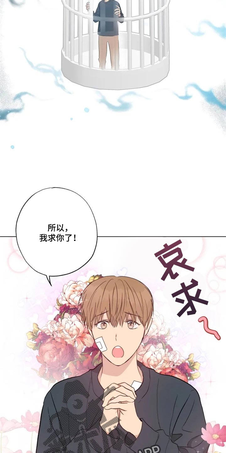 雨中百合歌曲大全漫画,第18章：答应2图