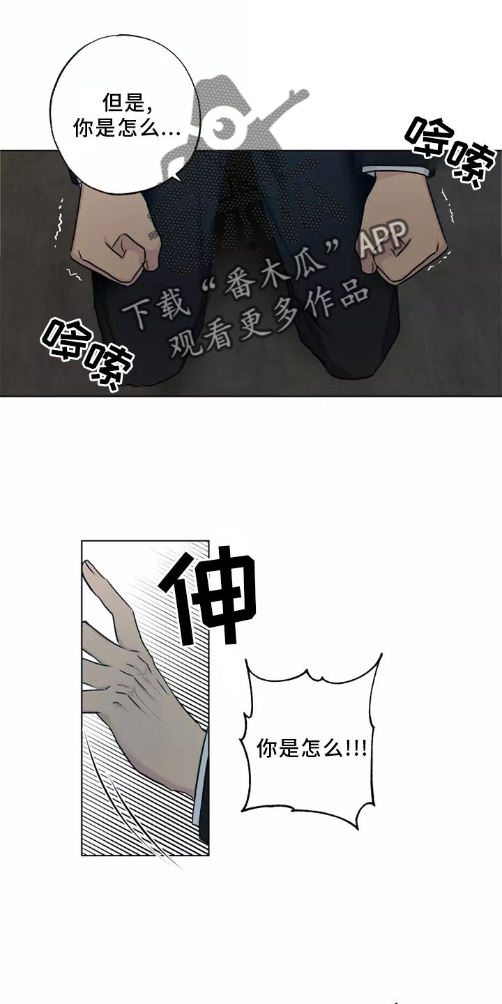 雨中来客祝酒辞漫画,第47章：选择1图