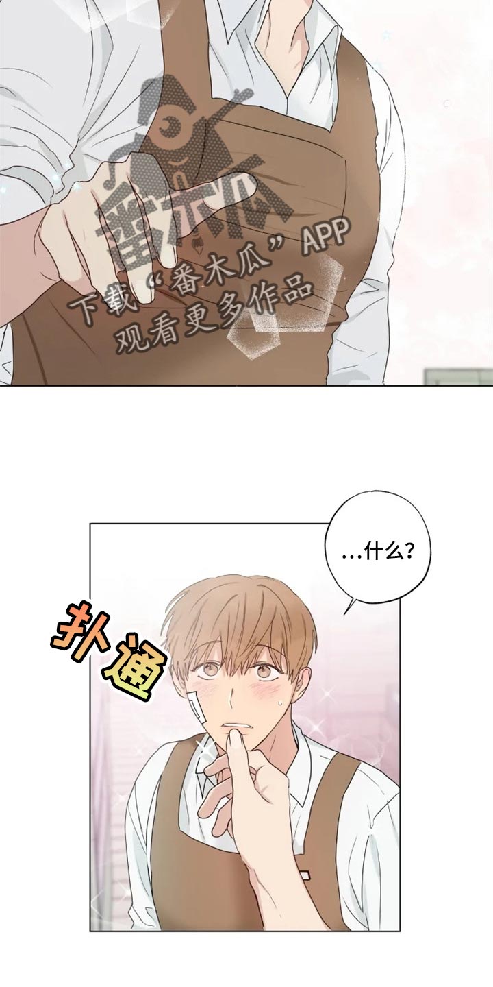 雨中来客祝酒辞漫画,第21章：你看我怎么样1图