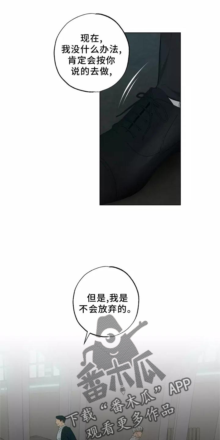 雨中百合歌曲大全漫画,第47章：选择2图