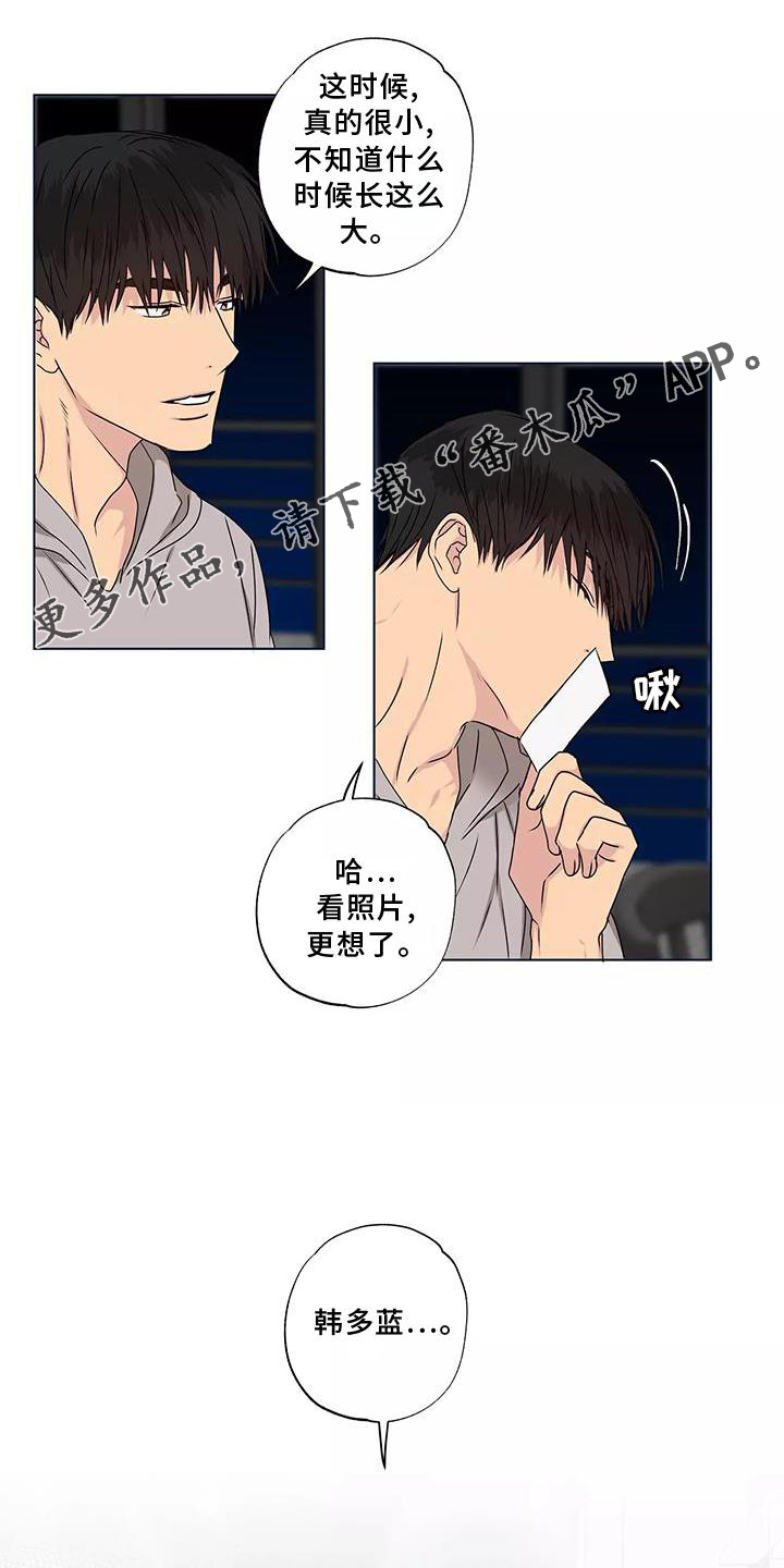雨中来客萤火突击漫画,第44章：电话1图