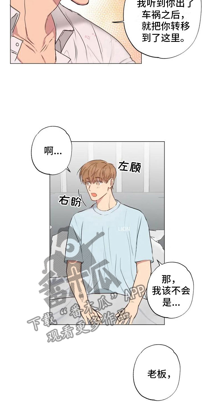 雨中的不速之客漫画,第11章：带回家了1图