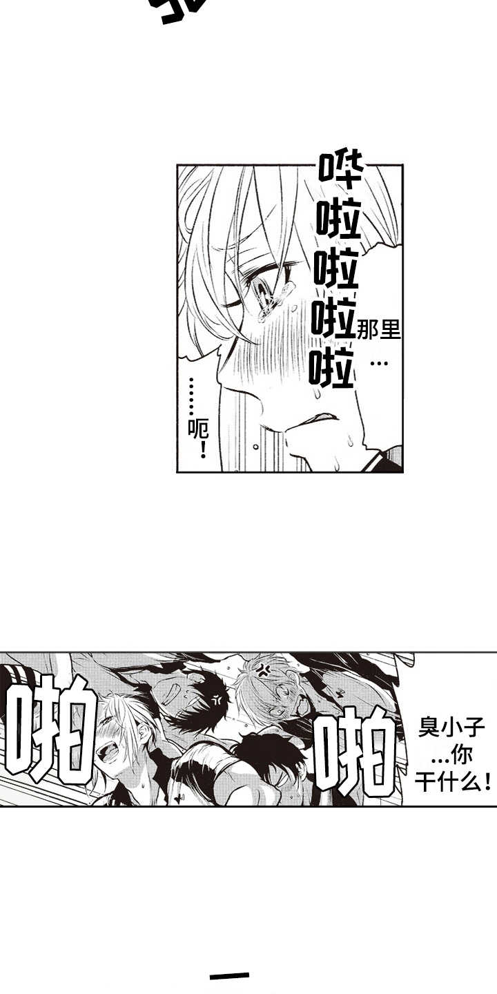 橄榄球团宠漫画,第7章：乱套了1图