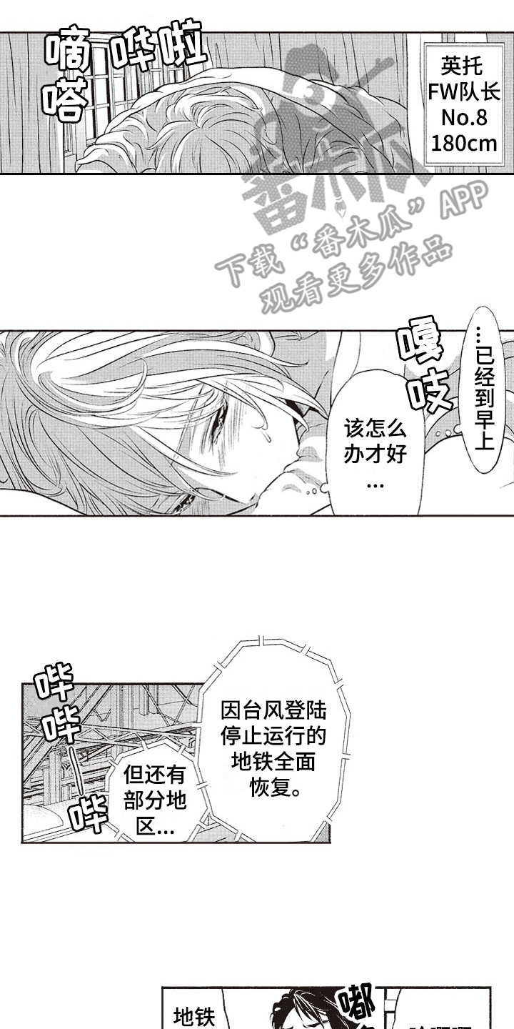 橄榄球团宠漫画,第13章：纠结2图