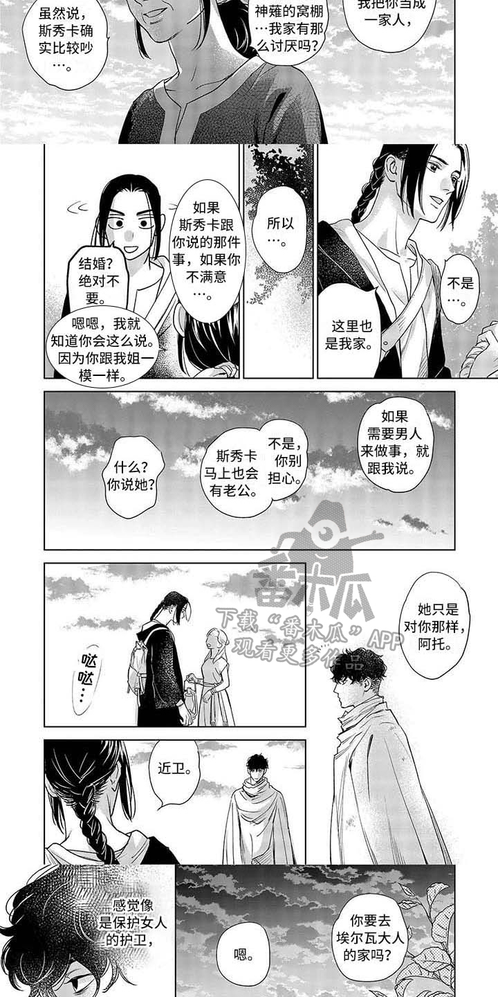 晨曦之剑小说免费全文阅读漫画,第11章：检查2图