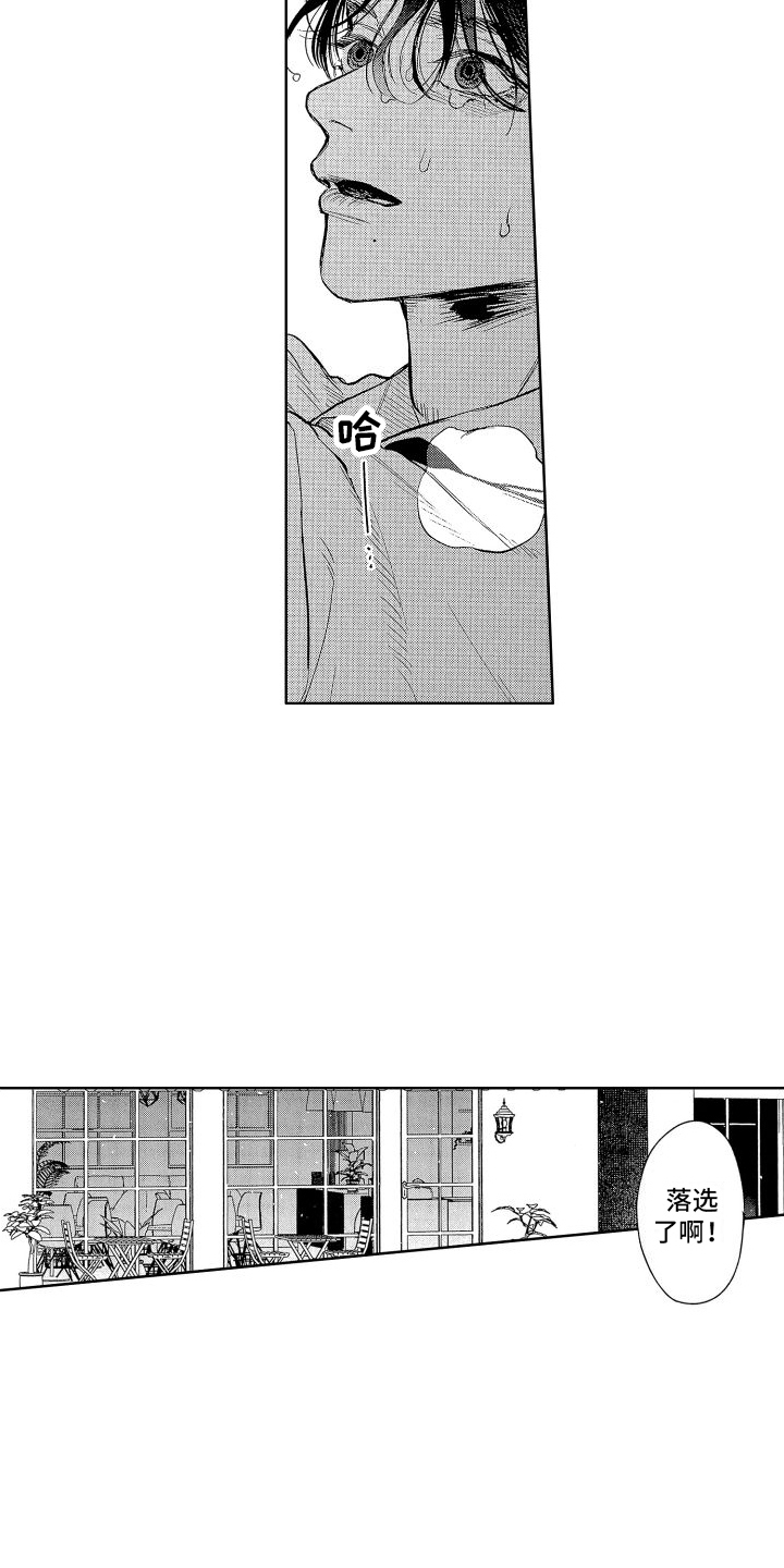 香草漫画免费观看漫画,第10章：落选1图