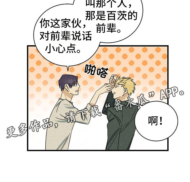 慢性消融漫画,第18章：公平2图