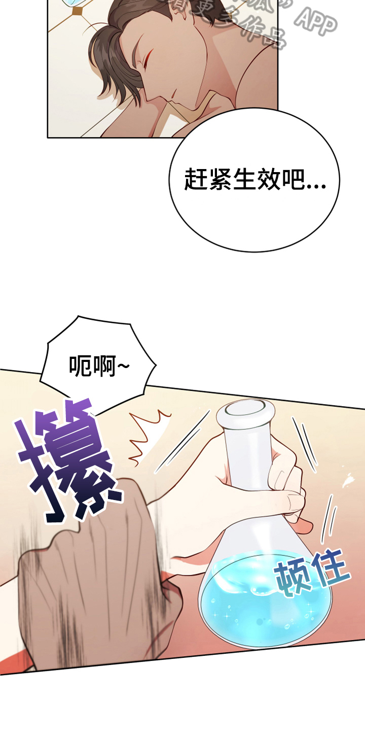 黄昏的世界 漫画免费阅读漫画,第13章：安排2图