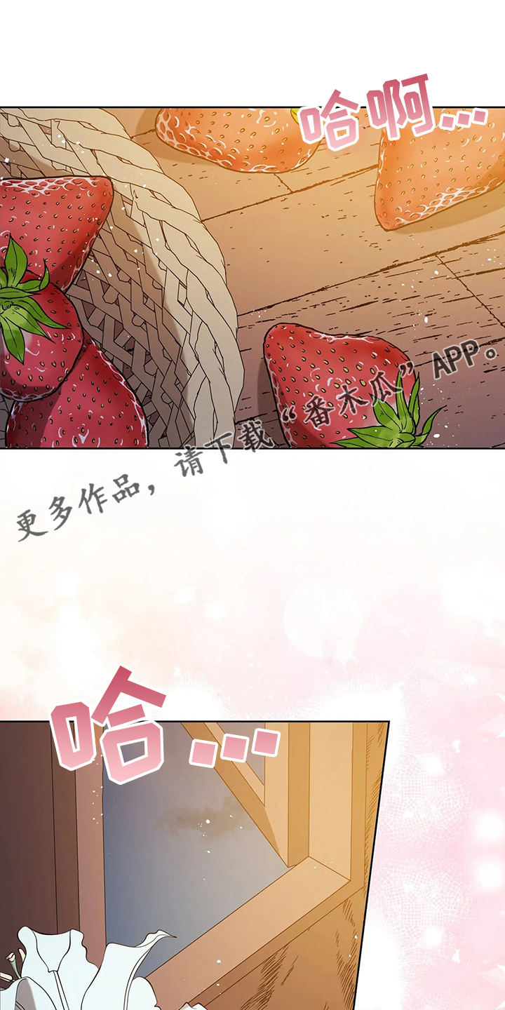 黄昏的世界漫画,第40章：精灵界碎片1图