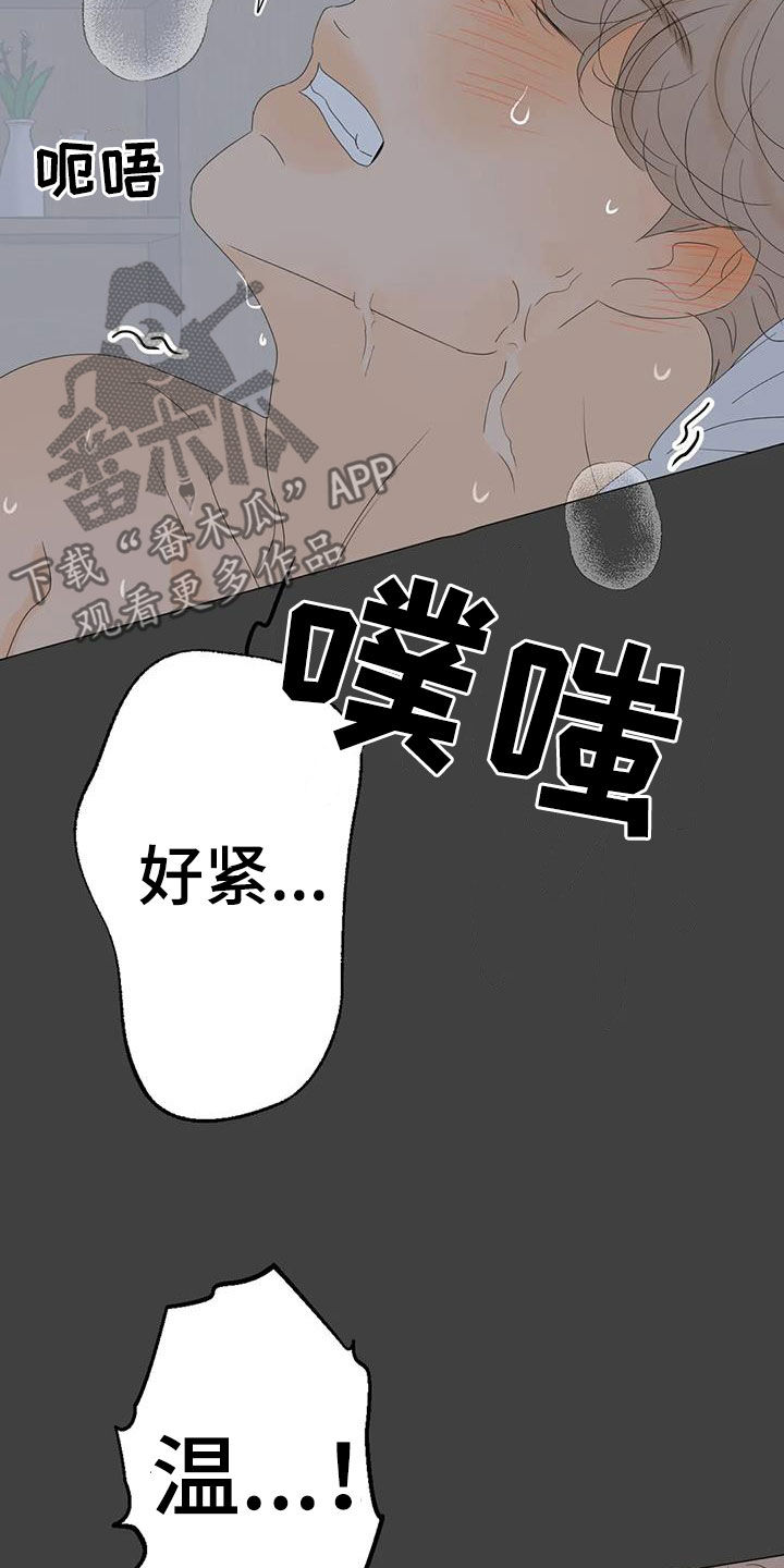 相爱的每天漫画,第21章：正在相爱（完结）1图